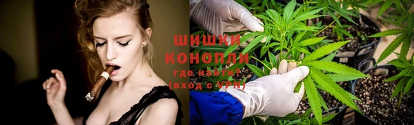 прущие крисы Балахна