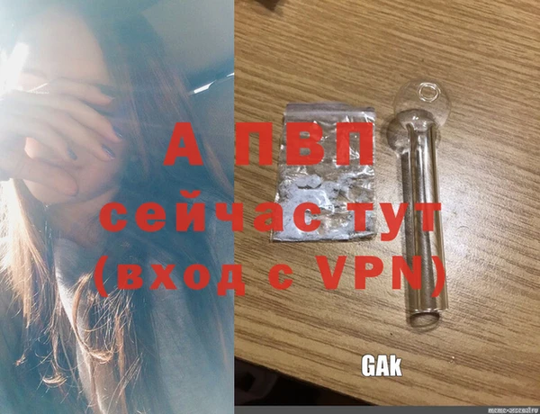 прущие крисы Балахна