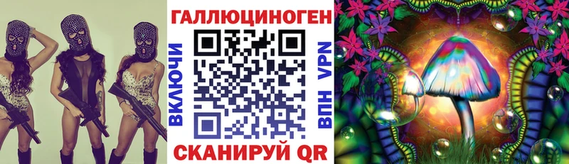 darknet состав купить mega зеркало Навашино Галлюциногенные грибы MAGIC MUSHROOMS