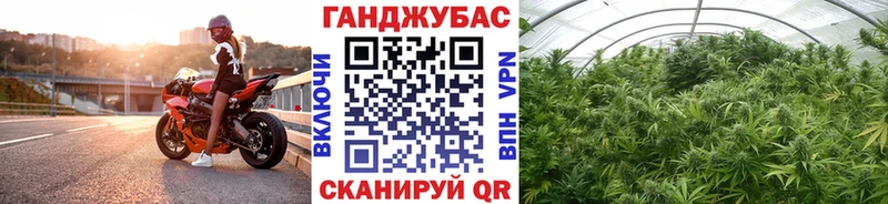 Марихуана марихуана mega как войти Навашино
